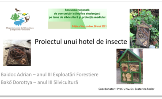 Featured image featured-1764-67a1f04ce3bef