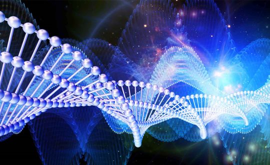 Featured image featured-1901-67a1eb7cc4ee5