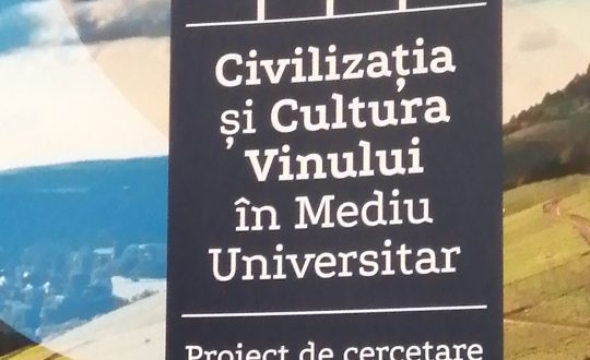 Featured image featured-2410-67a1d0113395c