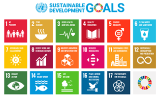 SDG_sustainable_goals