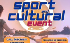sport culture