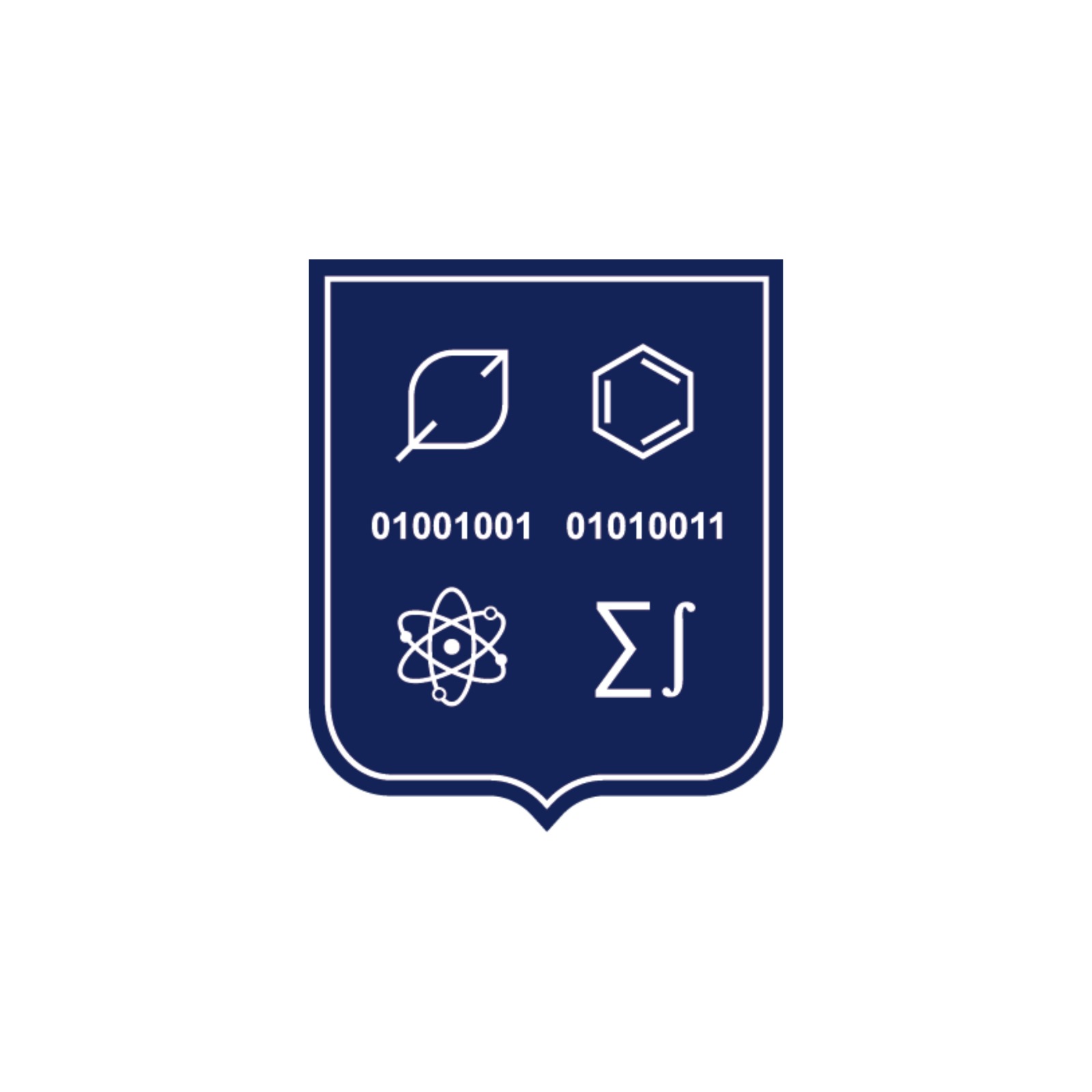 Logo Informatică și Științe